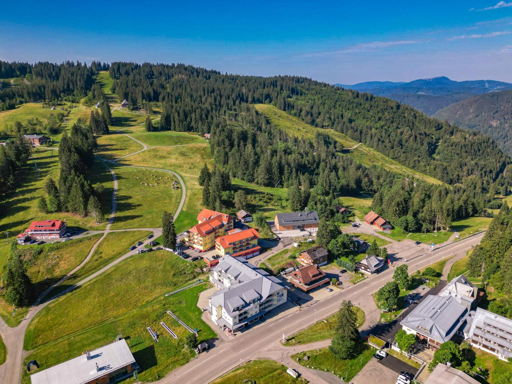 フェルトベルクAuerhahn Feldbergアパートメント エクステリア 写真